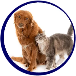 Sirena Vacuum Cleaner  water vacuum - Super Vacs Vacuums