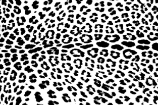 SEBO Felix Exhaust Microfilter Wrap in Wild - Super Vacs Vacuums