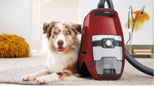 Miele Blizzard CX1 Cat & Dog Bagless - Super Vacs Vacuums